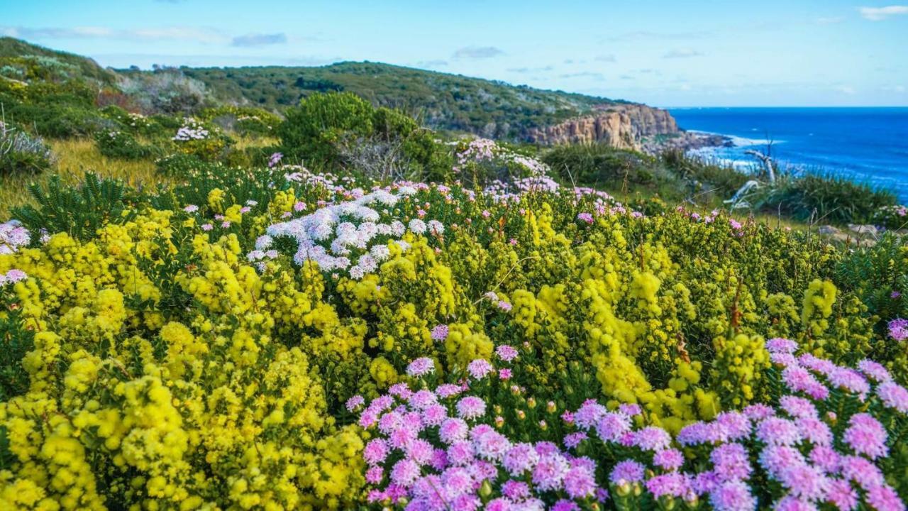 By The Sea Margaret River Villa Gnarabup Екстериор снимка